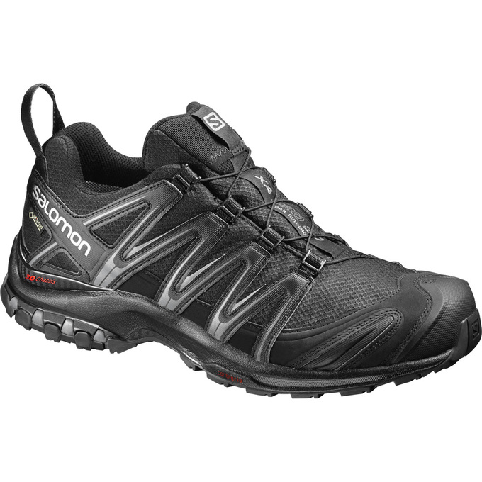 Salomon Singapore Mens Trail Running Shoes - XA PRO 3D GTX® Black | 02496-FXNU